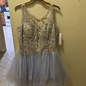 Gold and Silver Embellished Tulle Dress